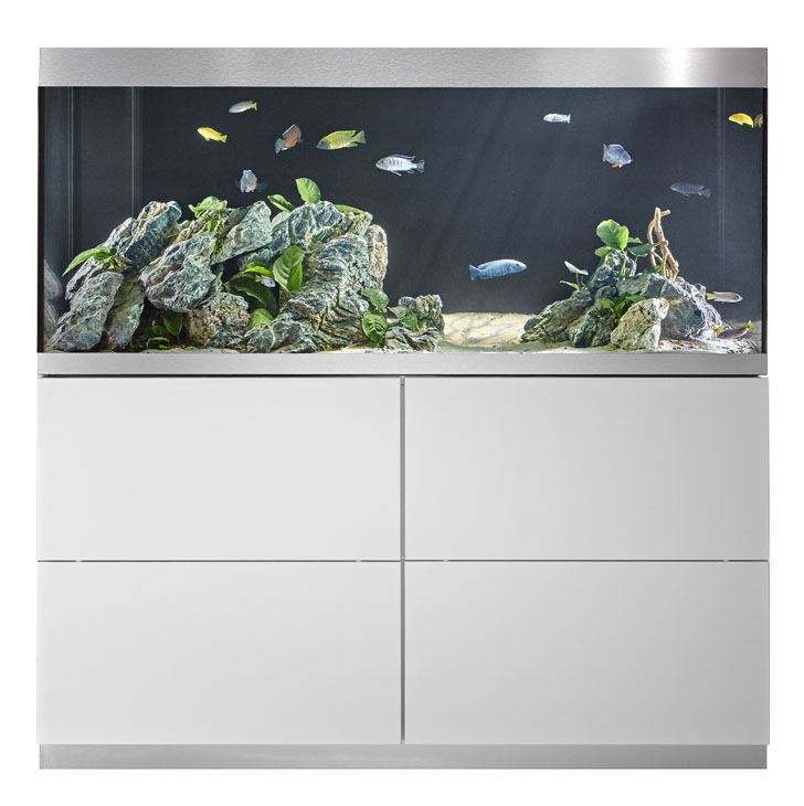 Rudi Schubert, Schubert-Fotografie, Studio für professionelle Werbefotografie, junges kreatives Team, Werbefotografie Münster, Werbefotografie Osnabrück, Werbefotografie, Stillleben, Still-Life, Produktfotografie, Objektfotografie, Oase Aquaristik, Aquarium, Zierfische, Wasserpflanzen